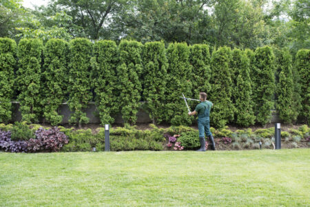 landscape contractors insurance