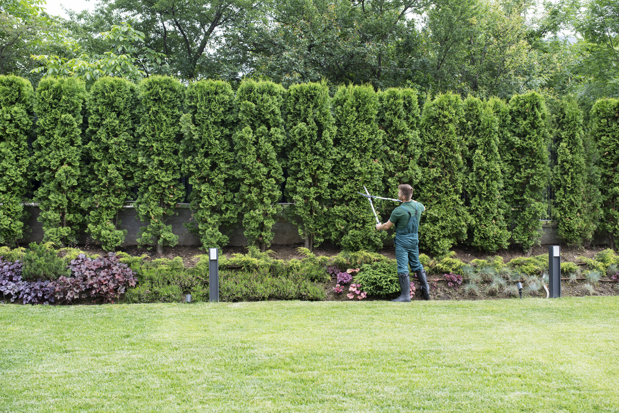 landscape contractors insurance